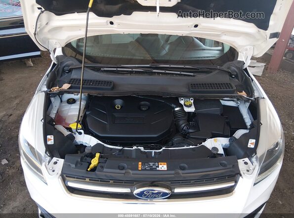 1FMCU0J95GUA09192 2016 FORD ESCAPE White უკანა ხედი