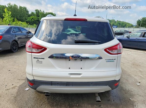 1FMCU0J95GUA74429 2016 FORD ESCAPE Белый Вид сзади