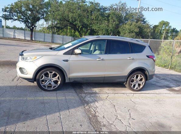 1FMCU0JD4HUE71491 2017 FORD ESCAPE Gold Սալոնի 360 աստիճան տեսք