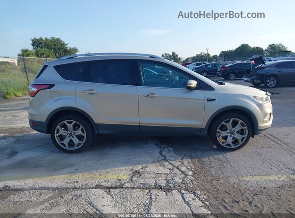 1FMCU0JD4HUE71491 2017 FORD ESCAPE Gold Սալոնի հետևի տեսք