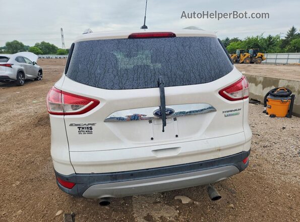 1FMCU0JX0GUB12454 2016 FORD ESCAPE White Widok z tyłu