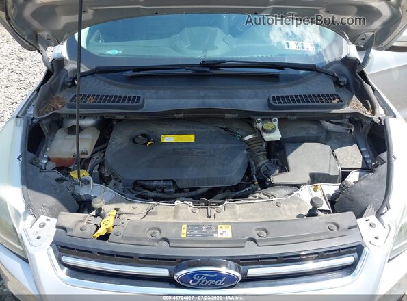 1FMCU0JX3GUB43679 2016 FORD ESCAPE Silver უკანა ხედი