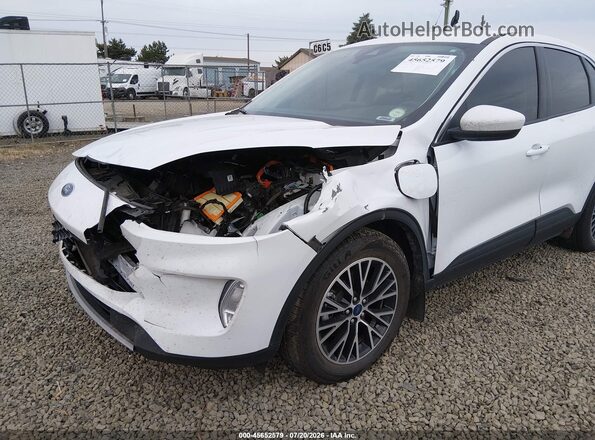 1FMCU0KZ1NUB14422 2022 FORD ESCAPE White წინა ხედი