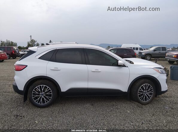1FMCU0KZ1NUB14422 2022 FORD ESCAPE White სალონის 360-გრადუსიანი ხედი