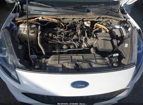 1FMCU9BZ2LUB83735 2020 FORD ESCAPE White Вид ззаду