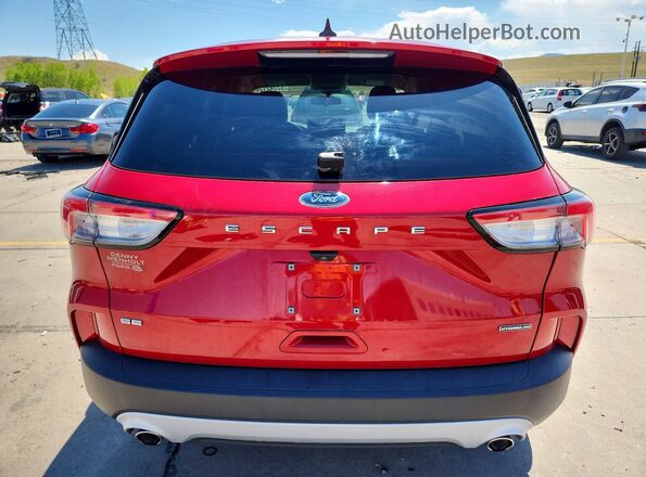 1FMCU9BZ4LUC52179 2020 FORD ESCAPE Red Rear view