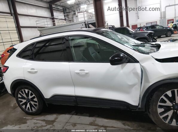 1FMCU9BZ6LUA63601 2020 FORD ESCAPE Белый Панорамный вид салона 360°
