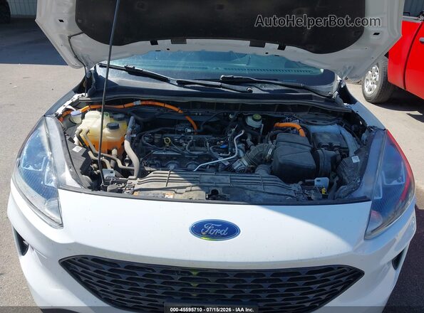 1FMCU9BZ9LUC02880 2020 FORD ESCAPE White უკანა ხედი