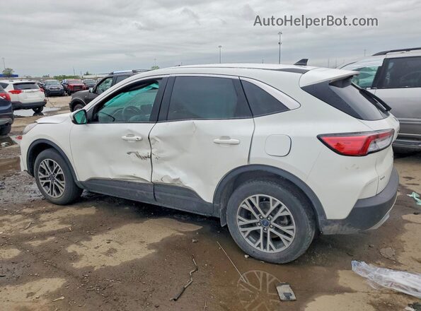 1FMCU9CZ3NUA85993 2022 FORD ESCAPE White Tył lewy