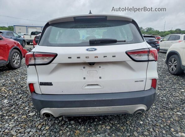 1FMCU9F67LUC71163 2020 FORD ESCAPE White უკანა ხედი
