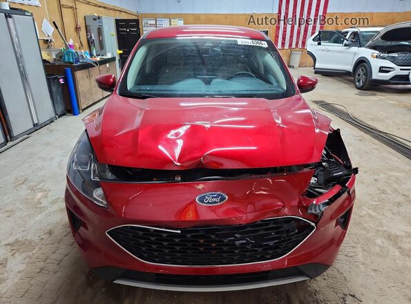1FMCU9G60LUB60842 2020 FORD ESCAPE Red წინა ხედი