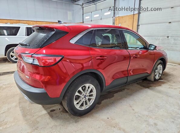 1FMCU9G60LUB60842 2020 FORD ESCAPE Red უკანა მარჯვენა