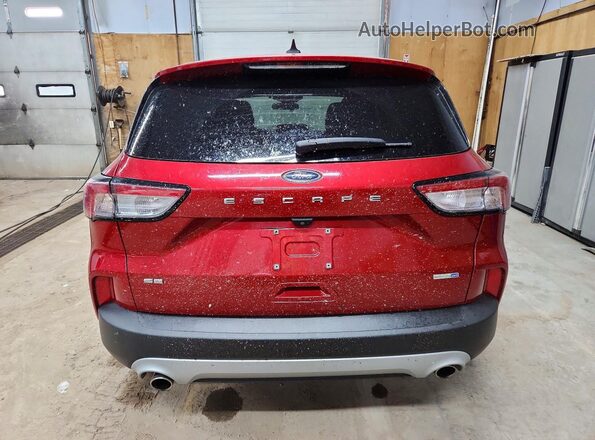 1FMCU9G60LUB60842 2020 FORD ESCAPE Red უკანა ხედი