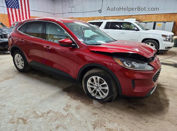 1FMCU9G60LUB60842 2020 FORD ESCAPE Red წინა მარჯვენა