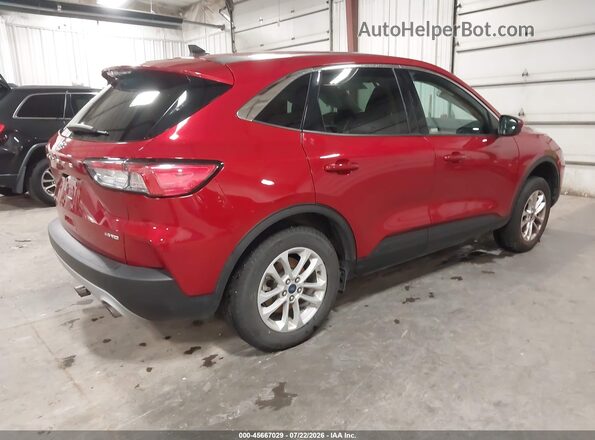 1FMCU9G61LUC75353 2020 FORD ESCAPE Red Tył prawy