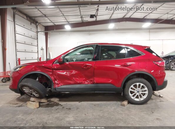 1FMCU9G61LUC75353 2020 FORD ESCAPE Red Widok wnętrza z tyłu