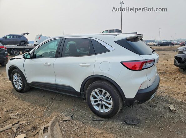 1FMCU9G63LUC08978 2020 FORD ESCAPE Белый Задняя левая четверть