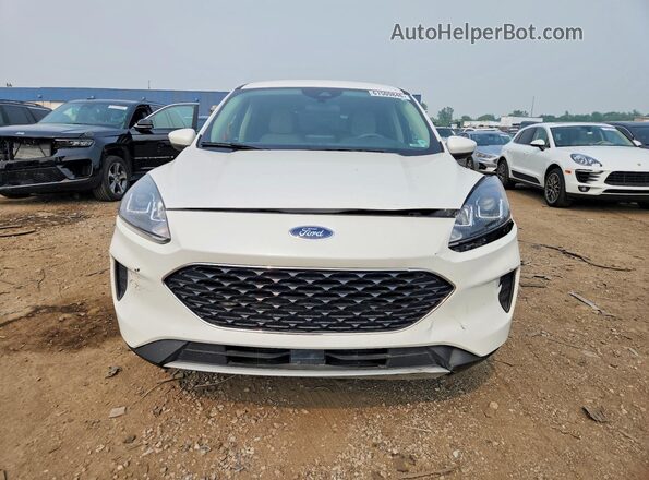 1FMCU9G63LUC08978 2020 FORD ESCAPE Белый Вид спереди