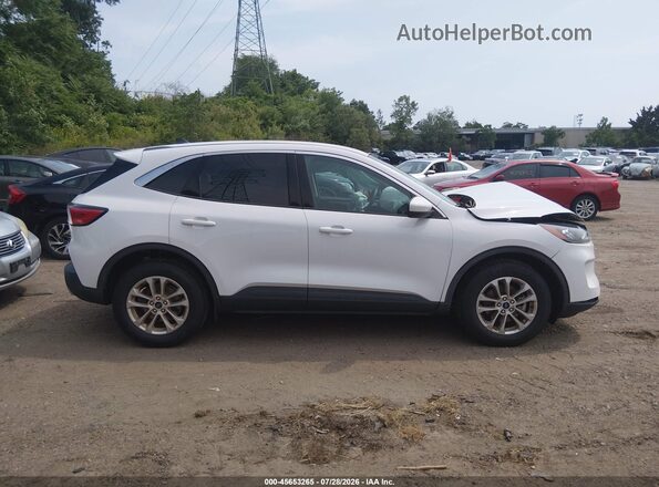 1FMCU9G65LUB53126 2020 FORD ESCAPE White Вид задньої частини салону