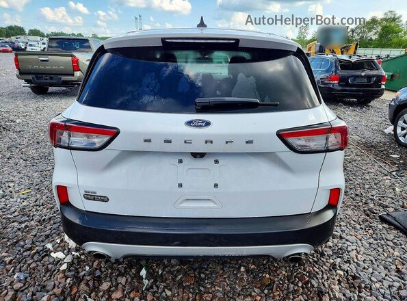 1FMCU9G67LUC60100 2020 FORD ESCAPE White Вид ззаду