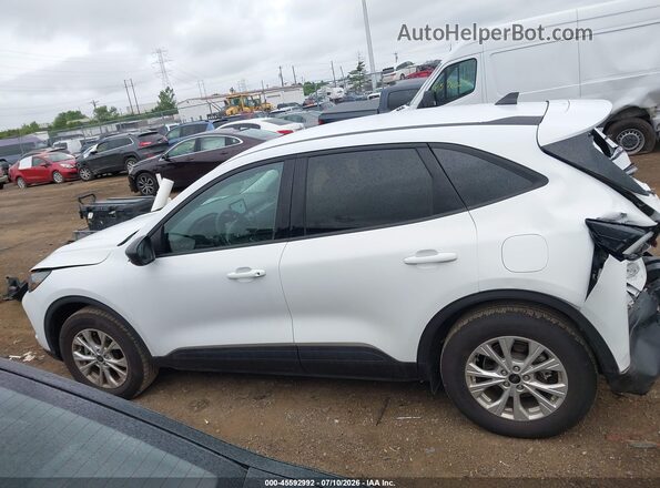 1FMCU9GN1SUA20577 2025 FORD ESCAPE Белый Панорамный вид салона 360°