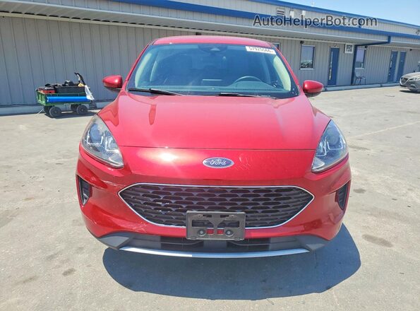 1FMCU9G68LUB06477 2020 FORD ESCAPE Red წინა ხედი