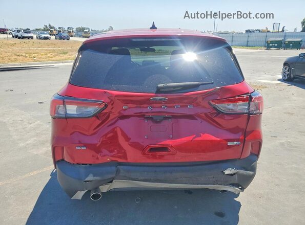 1FMCU9G68LUB06477 2020 FORD ESCAPE Red უკანა ხედი