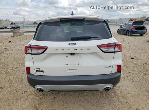 1FMCU9G69LUB32148 2020 FORD ESCAPE Белый Вид сзади