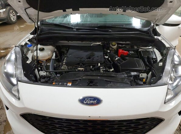1FMCU9G69LUB65182 2020 FORD ESCAPE White Շարժիչի բաժամունքի տեսք