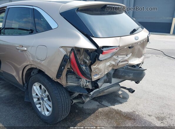 1FMCU9G69MUA99475 2021 FORD ESCAPE Beige Widok z przodu