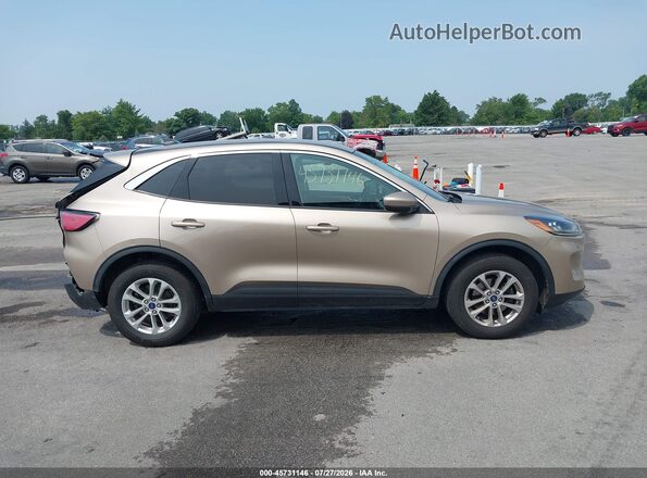 1FMCU9G69MUA99475 2021 FORD ESCAPE Beige Widok wnętrza z tyłu