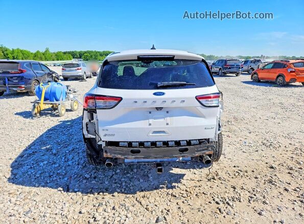 1FMCU9G6XLUB64641 2020 FORD ESCAPE Белый Вид сзади