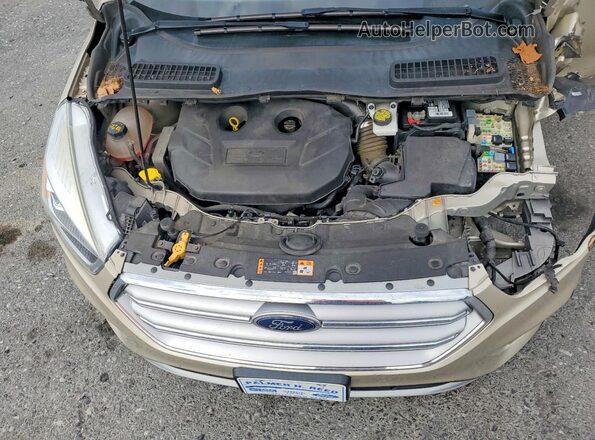 1FMCU9G90HUE20030 2017 FORD ESCAPE Beige Widok komory silnika