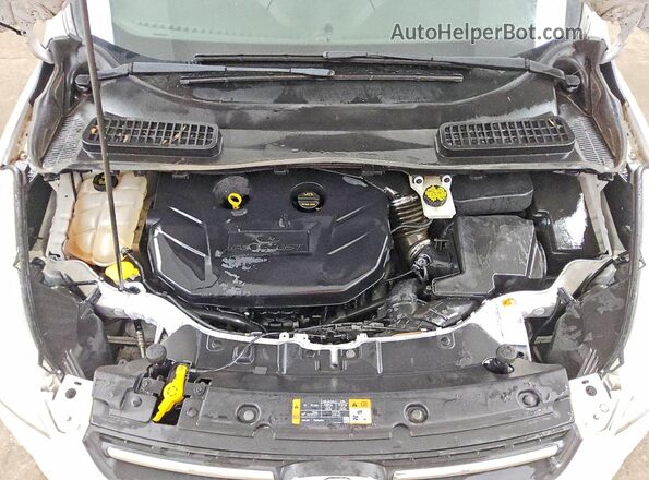 1FMCU9G93GUA11275 2016 FORD ESCAPE White Rear interior view