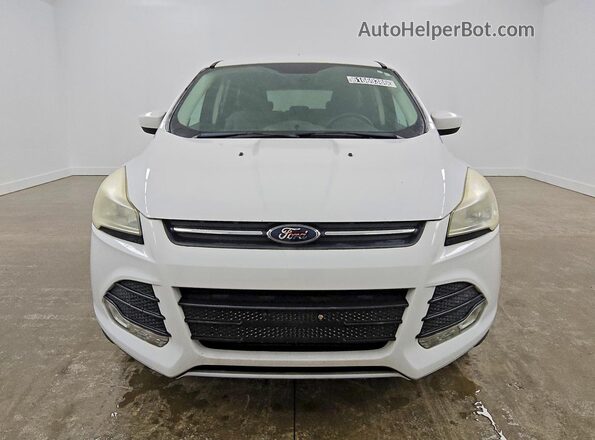 1FMCU9G93GUA11275 2016 FORD ESCAPE White Front view