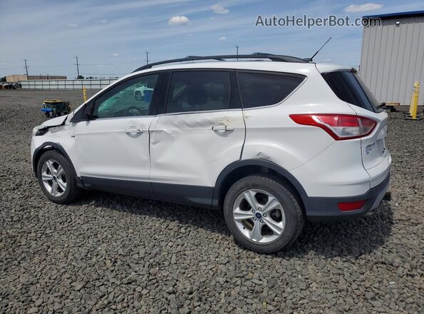 1FMCU9G95GUB63591 2016 FORD ESCAPE White უკანა მარცხენა
