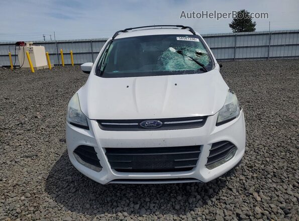 1FMCU9G95GUB63591 2016 FORD ESCAPE White წინა ხედი