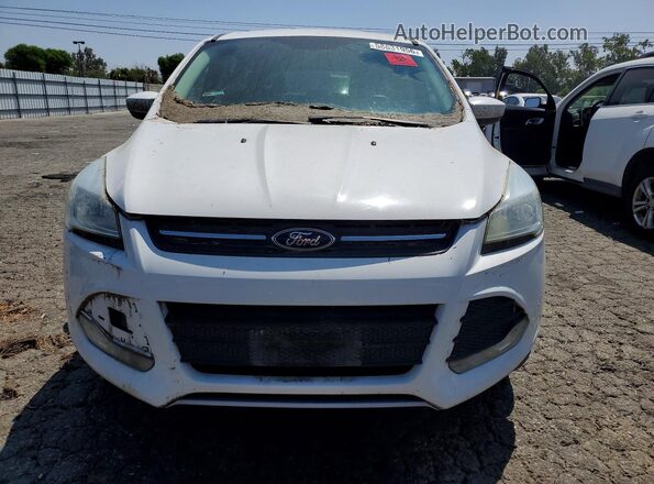1FMCU9G96GUC29369 2016 FORD ESCAPE White წინა ხედი