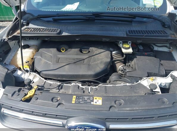 1FMCU9G98GUB42234 2016 FORD ESCAPE White Вид ззаду
