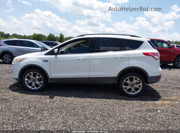 1FMCU9G98GUC50885 2016 FORD ESCAPE Белый Панорамный вид салона 360°