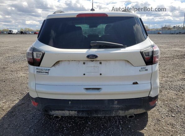 1FMCU9G98HUB10112 2017 FORD ESCAPE Белый Вид сзади