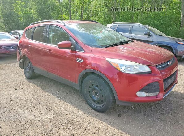 1FMCU9G99GUA23835 2016 FORD ESCAPE Red Front right