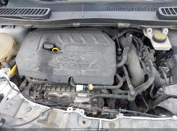 1FMCU9GD1KUC10287 2019 FORD ESCAPE White Rear view