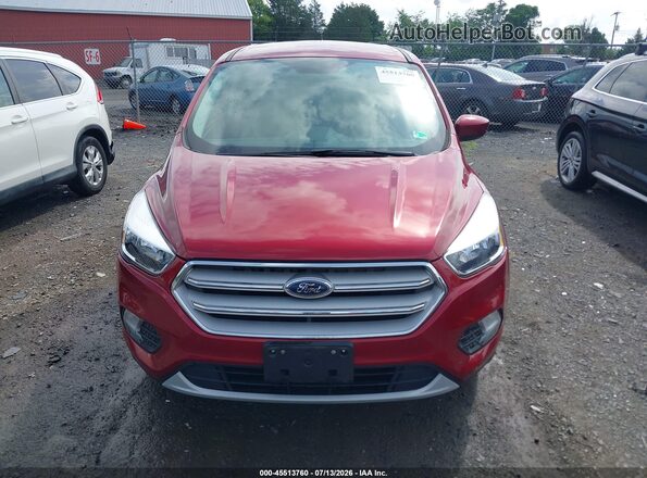 1FMCU9GD2KUC21203 2019 FORD ESCAPE Red უკანა სალონის ხედი