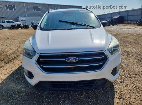 1FMCU9GD4HUA43433 2017 FORD ESCAPE Белый Вид спереди
