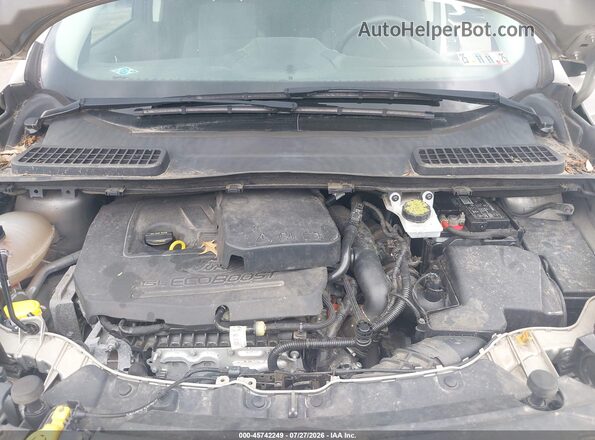 1FMCU9GD4JUC84012 2018 FORD ESCAPE Gold Widok z tyłu