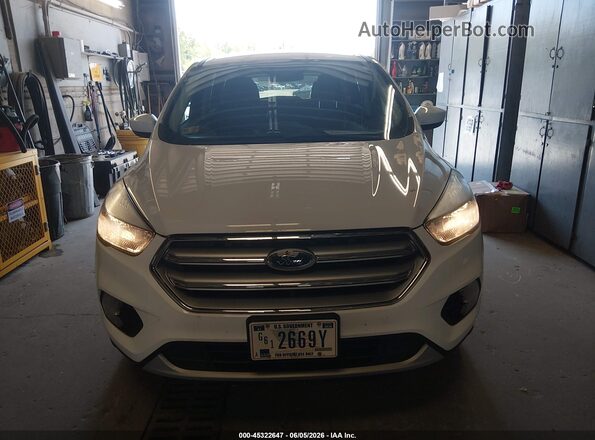 1FMCU9GD5HUD44504 2017 FORD ESCAPE Белый Вид задней части салона