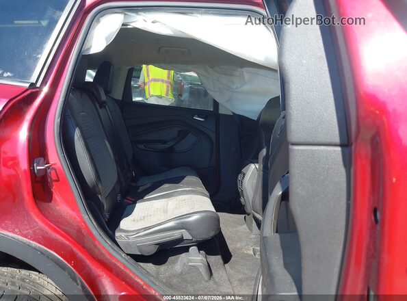 1FMCU9GD6KUA55543 2019 FORD ESCAPE Red VIN sticker view