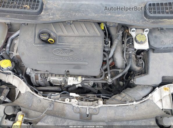 1FMCU9GD8HUC62542 2017 FORD ESCAPE Бежевый Вид сзади