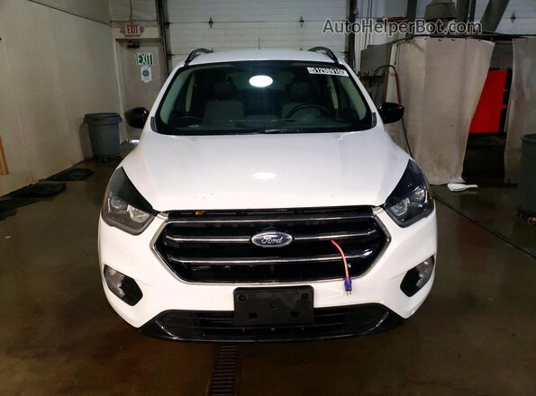 1FMCU9GD8KUA13455 2019 FORD ESCAPE White Front view